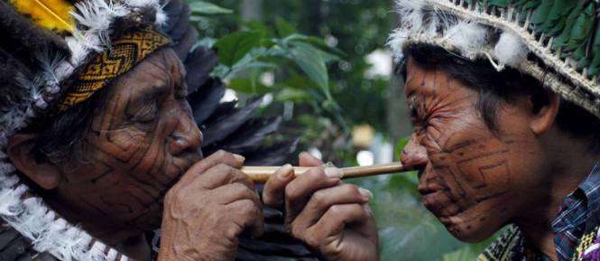 Healing With Sacred Tobacco: Rapé Tribal Snuff