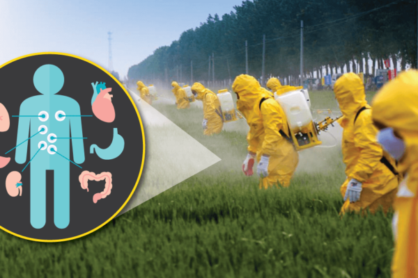 Glyphosate Detox: How To Rid Your Body of Harmful Herbicide and Pesticide Residues